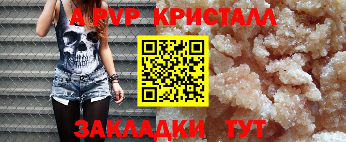 Alfa_PVP СК Михайловск