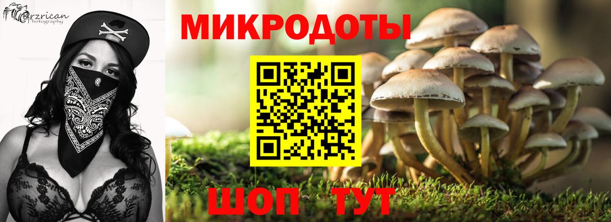 Михайловск  Псилоцибиновые грибы ЛСД  Псилоцибиновые грибы прущие грибы  где найти   Вход с VPN 